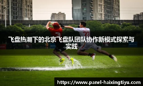 飞盘热潮下的北京飞盘队团队协作新模式探索与实践